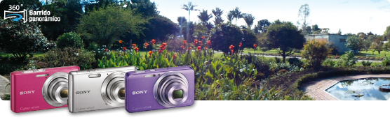 Sony Cyber-shot